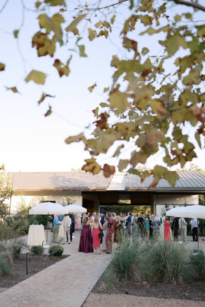 Guest mingling at cocktail hour